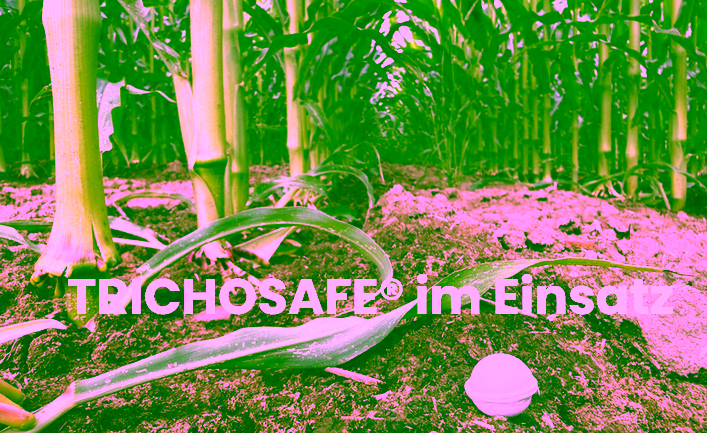 Screenshot 2026-10-16 at 15-47-20 TRICHOSAFE® – Facebook-Post